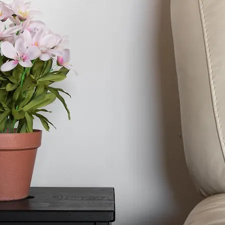 Frank Ronyo דירה דסנזאנו דל גארדה